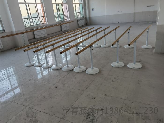 國(guó)內(nèi)某知名學(xué)校藝術(shù)部選用常春藤舞蹈把桿，舞蹈鏡